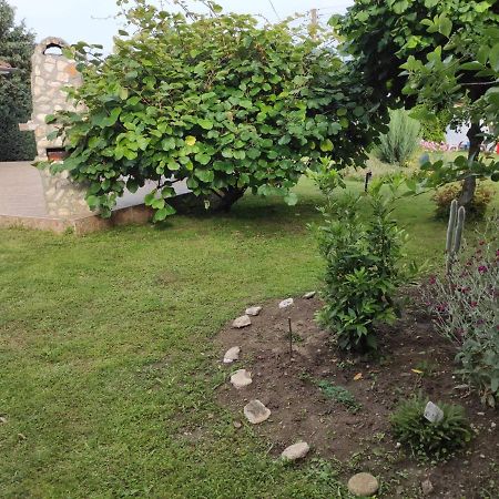 Guesthouse Oasis-Szabła Zewnętrze zdjęcie