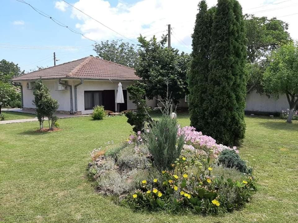 Guesthouse Oasis-Szabła Zewnętrze zdjęcie