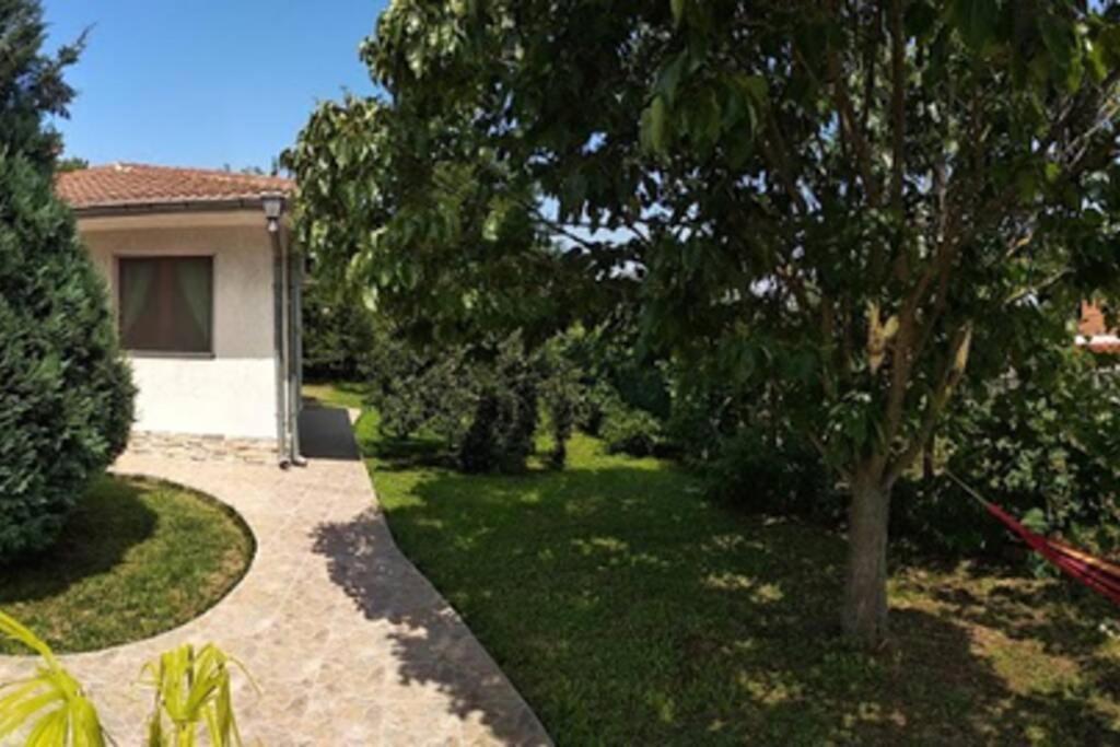 Guesthouse Oasis-Szabła Zewnętrze zdjęcie