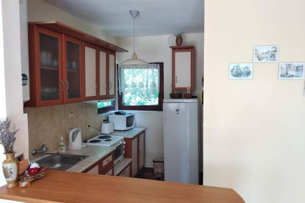 Guesthouse Oasis-Szabła Zewnętrze zdjęcie