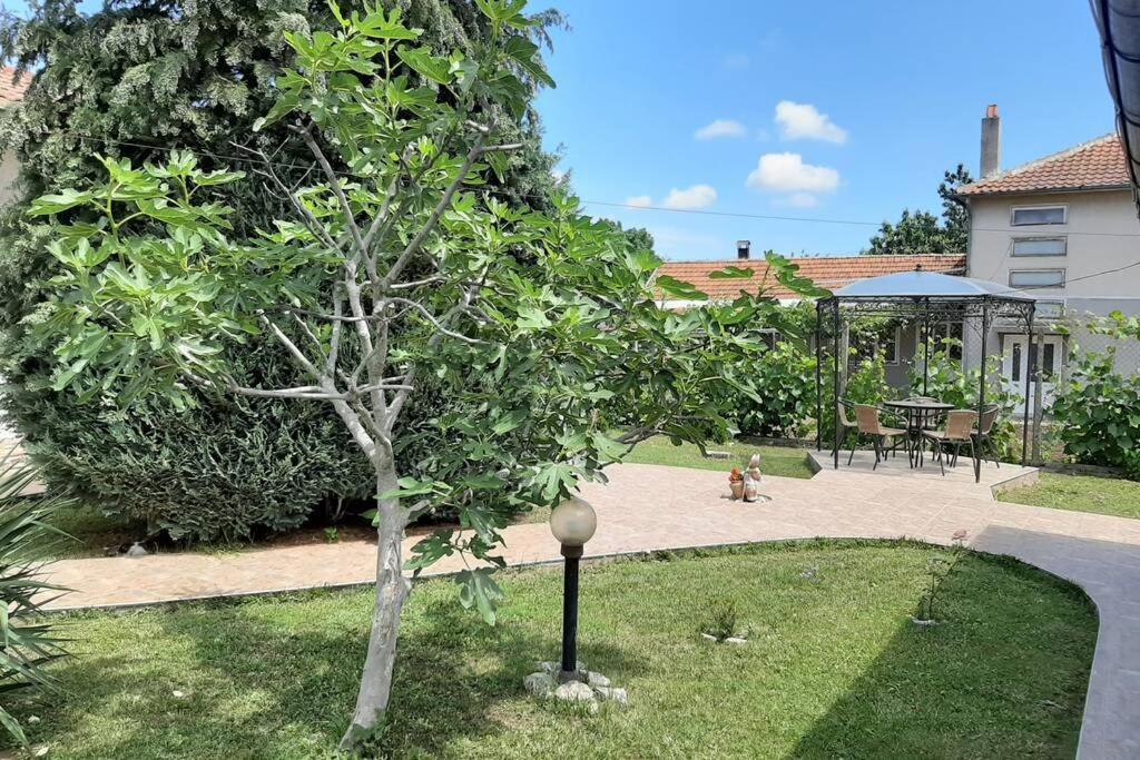 Guesthouse Oasis-Szabła Zewnętrze zdjęcie