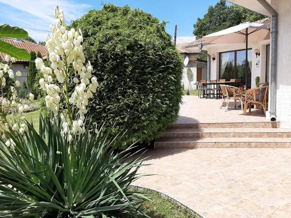 Guesthouse Oasis-Szabła Zewnętrze zdjęcie