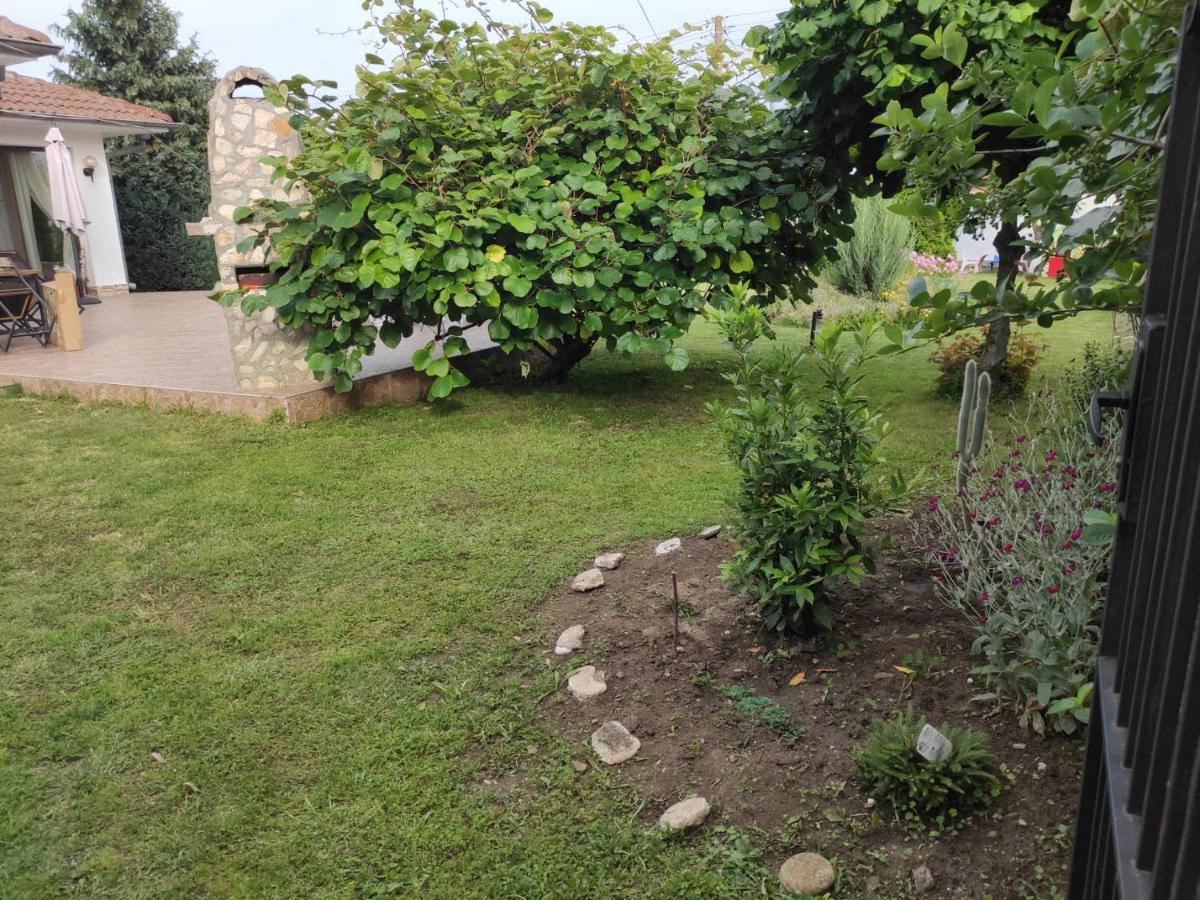 Guesthouse Oasis-Szabła Zewnętrze zdjęcie